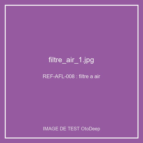 Filtre a air