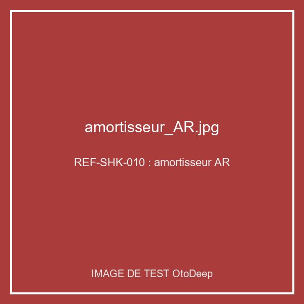 Amortisseur arriere